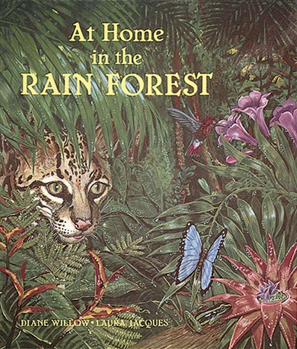 At Home in the Rain Forest