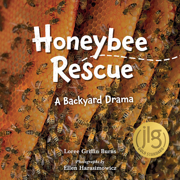 Honeybee Rescue