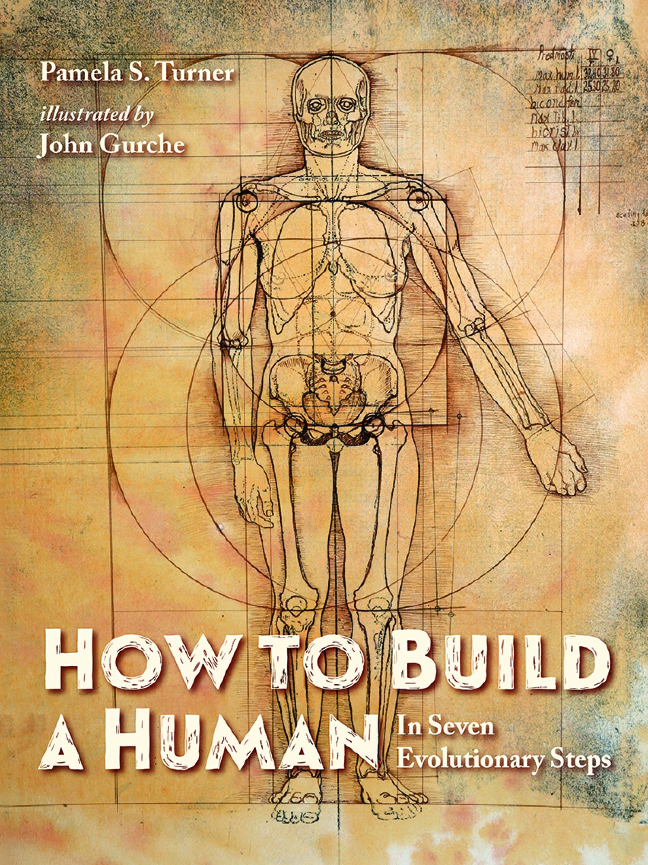 how-to-build-a-human
