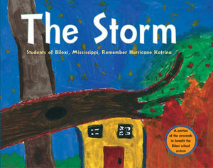 The Storm cover image